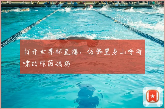 打开世界杯直播,仿佛置身山呼海啸的绿茵战场