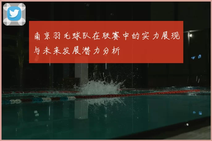 南京羽毛球队在联赛中的实力展现与未来发展潜力分析