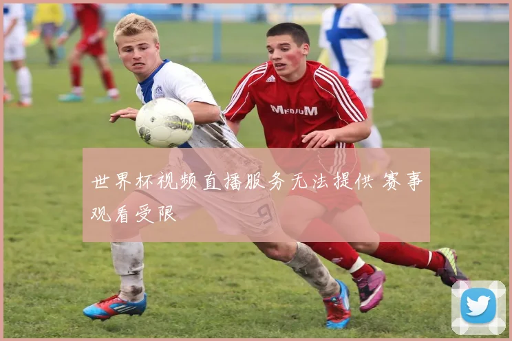 世界杯视频直播服务无法提供 赛事观看受限