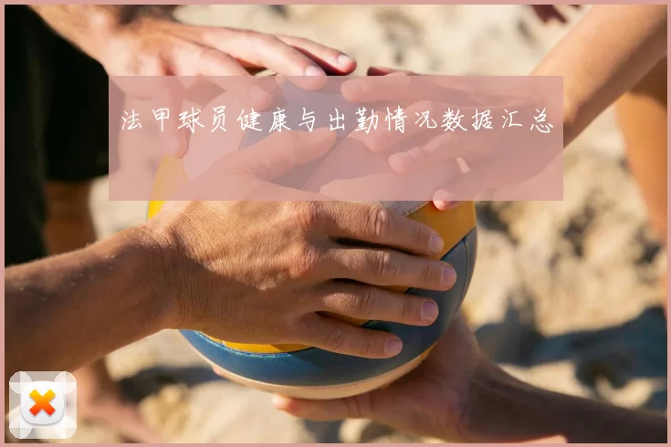 法甲球员健康与出勤情况数据汇总