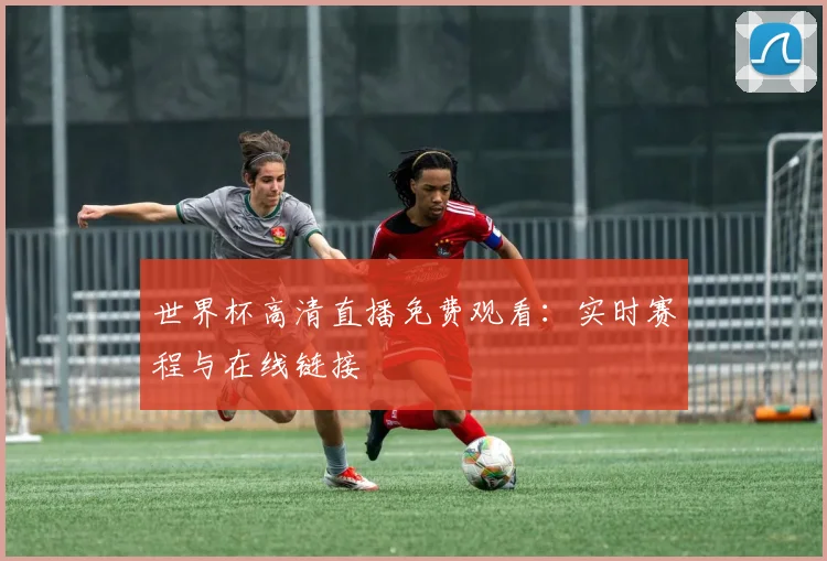 世界杯高清直播免费观看:实时赛程与在线链接