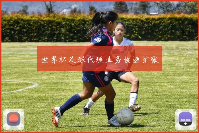 世界杯足球代理业务快速扩张