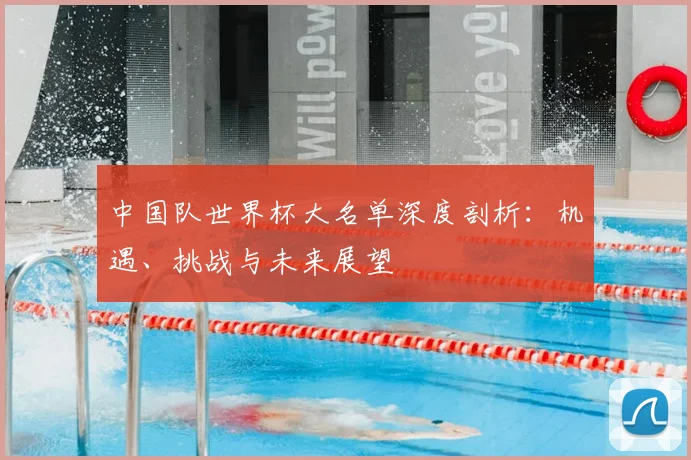 中国队世界杯大名单深度剖析:机遇、挑战与未来展望