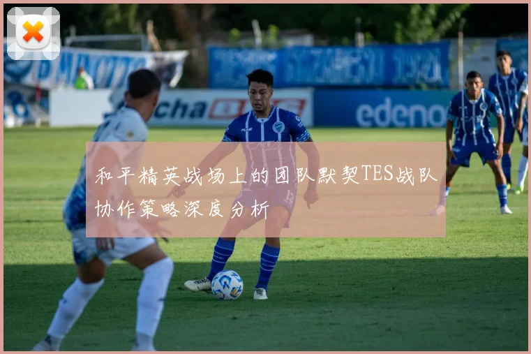 和平精英战场上的团队默契TES战队协作策略深度分析