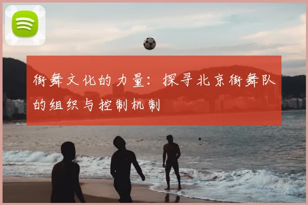 街舞文化的力量：探寻北京街舞队的组织与控制机制