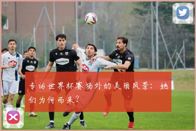 专访世界杯赛场外的美丽风景:她们为何而来?