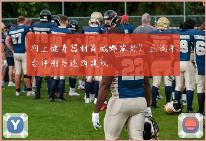 网上健身器材商城哪家好?主流平台评测与选购建议