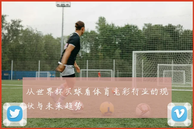 从世界杯买球看体育竞彩行业的现状与未来趋势