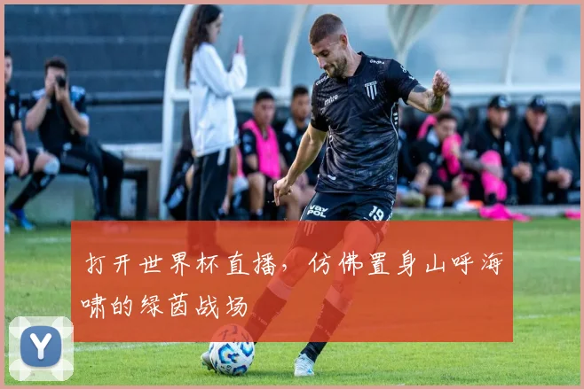 打开世界杯直播,仿佛置身山呼海啸的绿茵战场