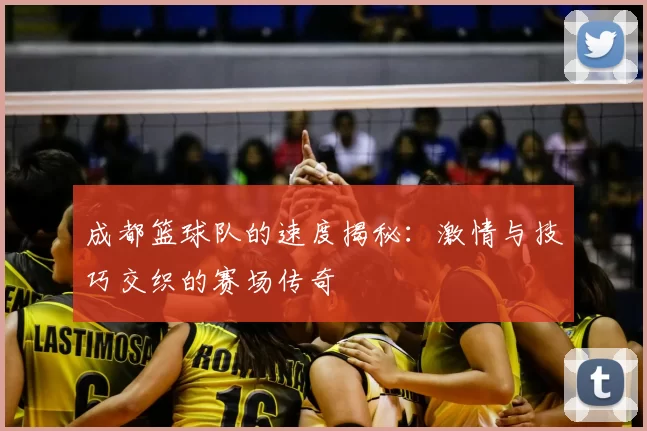 成都篮球队的速度揭秘：激情与技巧交织的赛场传奇