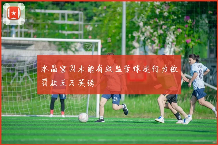水晶宫因未能有效监管球迷行为被罚款五万英镑