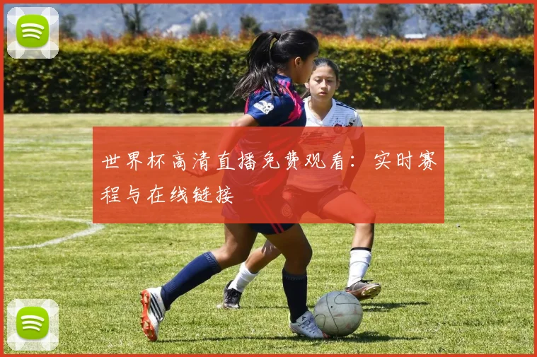 世界杯高清直播免费观看:实时赛程与在线链接