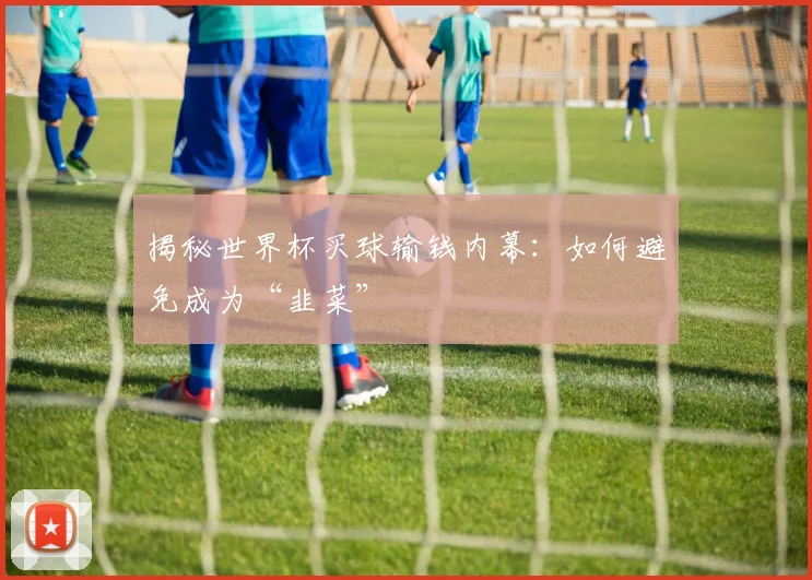 揭秘世界杯买球输钱内幕：如何避免成为“韭菜”