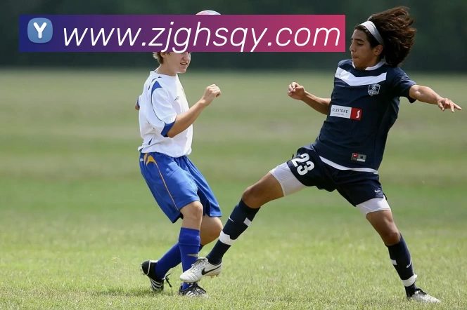 华体会体育APP 封面图